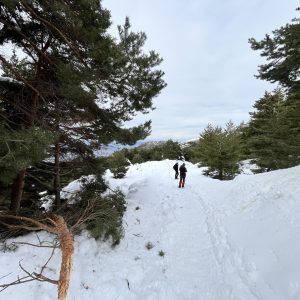 Rutas de Raquetas de Nieve Sierra Nevada 2026IMG_7027